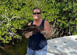 Black Grouper reeled in Islamorada, Florida!